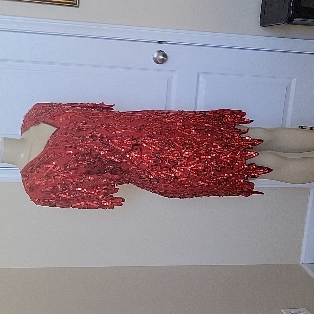 Silk Squin Vintage Dress